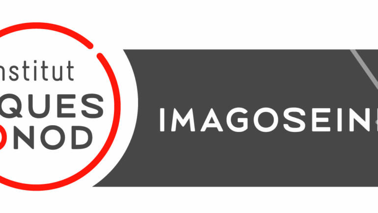 Ingénieur d’études en microscopie photonique appliquée (H/F) – Plateforme ImagoSeine