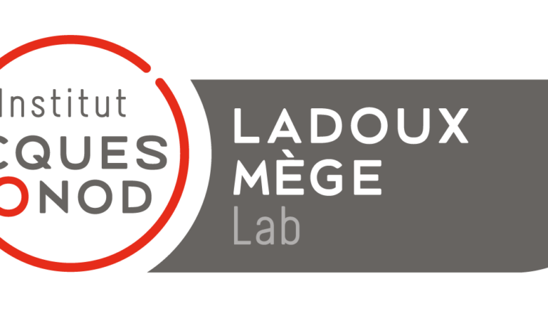 Postdoc / Ladoux-Mege Lab / Dead or Alive project (ERC)