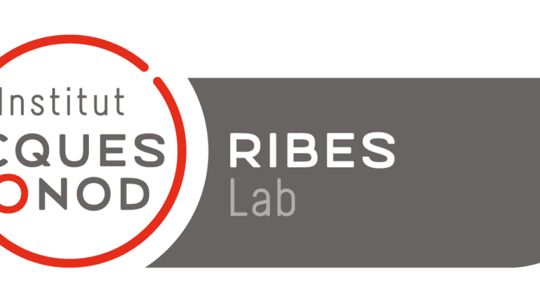 Postdoctoral positions / Ribes Lab