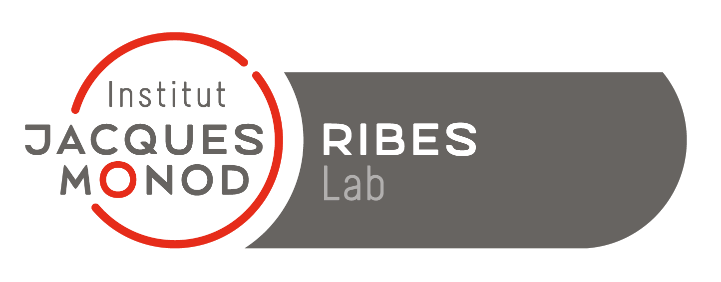 Postdoctoral positions / Ribes Lab