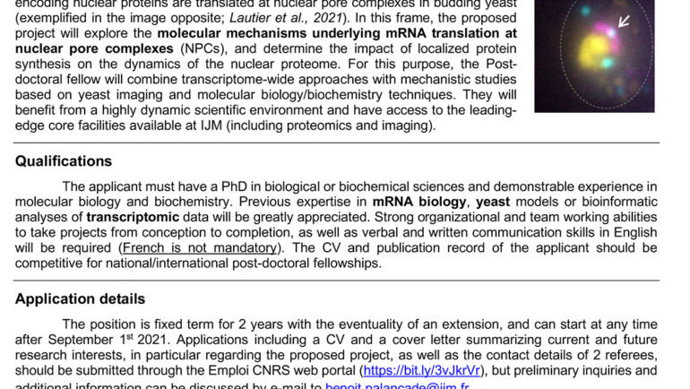 Post-doc position – 04/06/2021