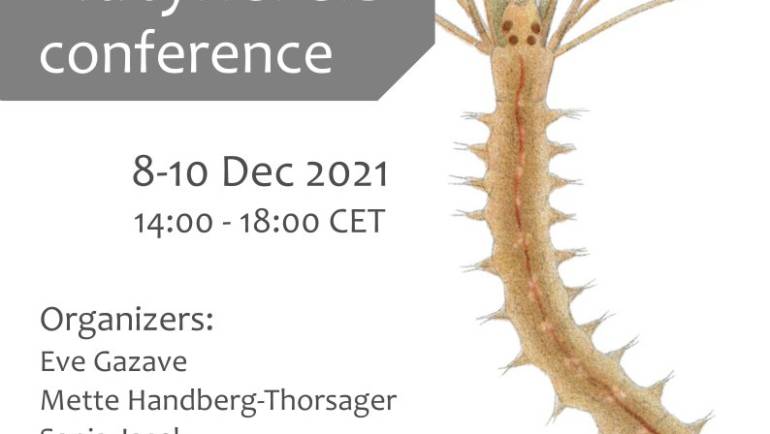 2nd Virtual Platynereis Conference – 8-10 December 2021