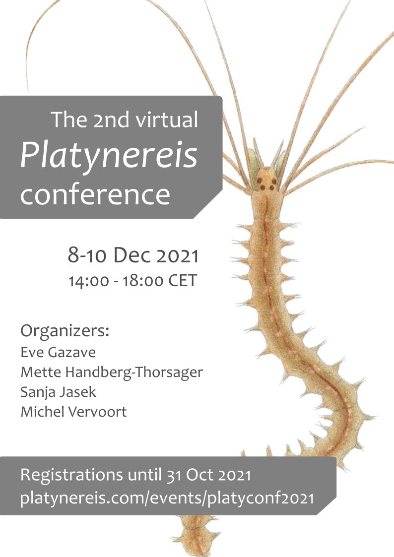 2nd Virtual Platynereis Conference – 8-10 December 2021