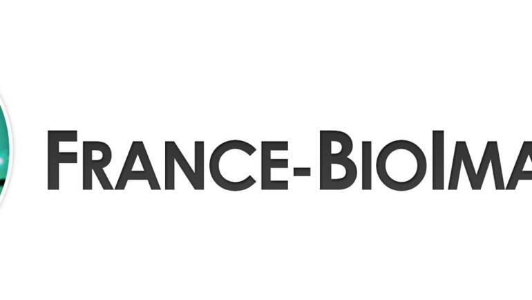 Database Administrator Engineer (M/F)