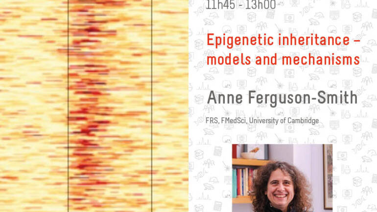 Monod-Diderot Conference – Anne Ferguson-Smith – 01/04/2022