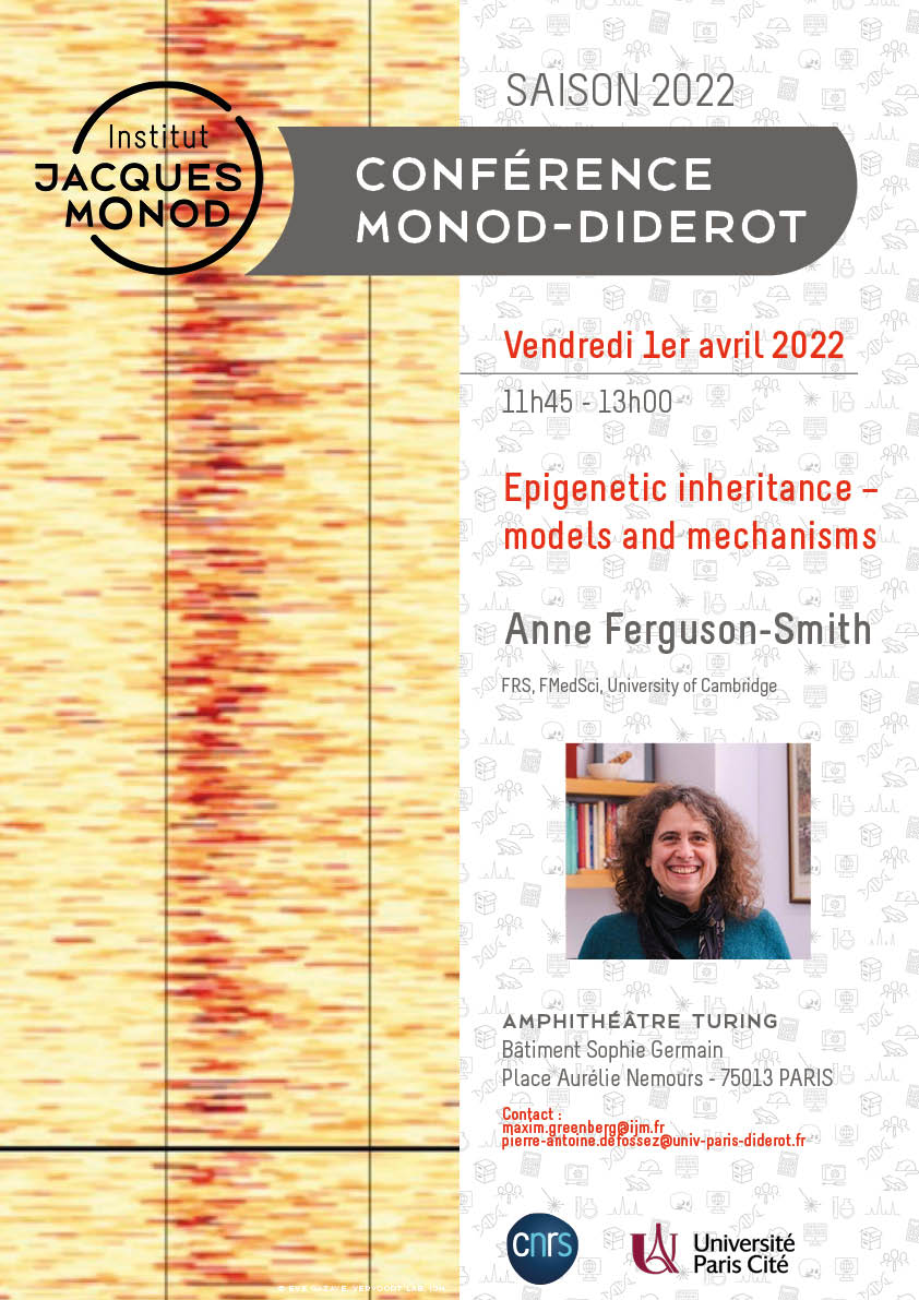 Monod-Diderot Conference : Anne Ferguson-Smith – 01/04/2022