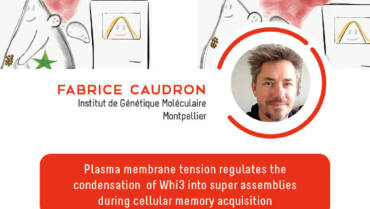 IJM Seminar – Fabrice Caudron  – 05/04/2022