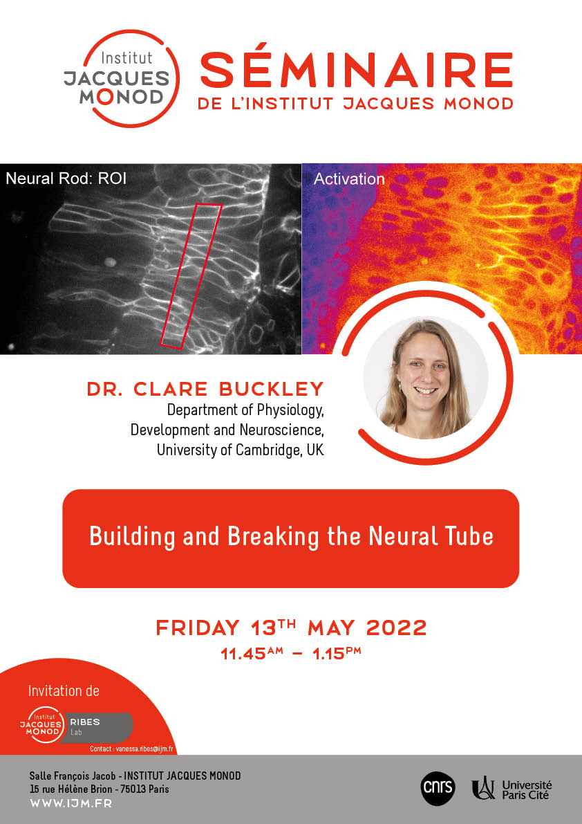 IJM Seminar – Clare Buckley – 13/05/2022