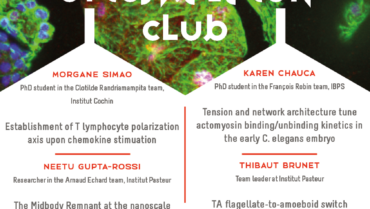 Cytoskeleton Club – 15/06/2022