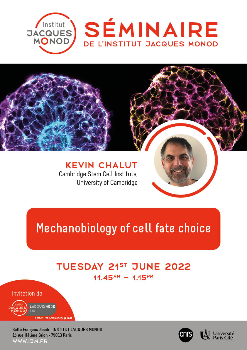 IJM Seminar – Kevin Chalut – 21/06/2022