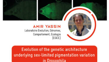 IJM Seminar – Amir Yassin – 17/06/2022