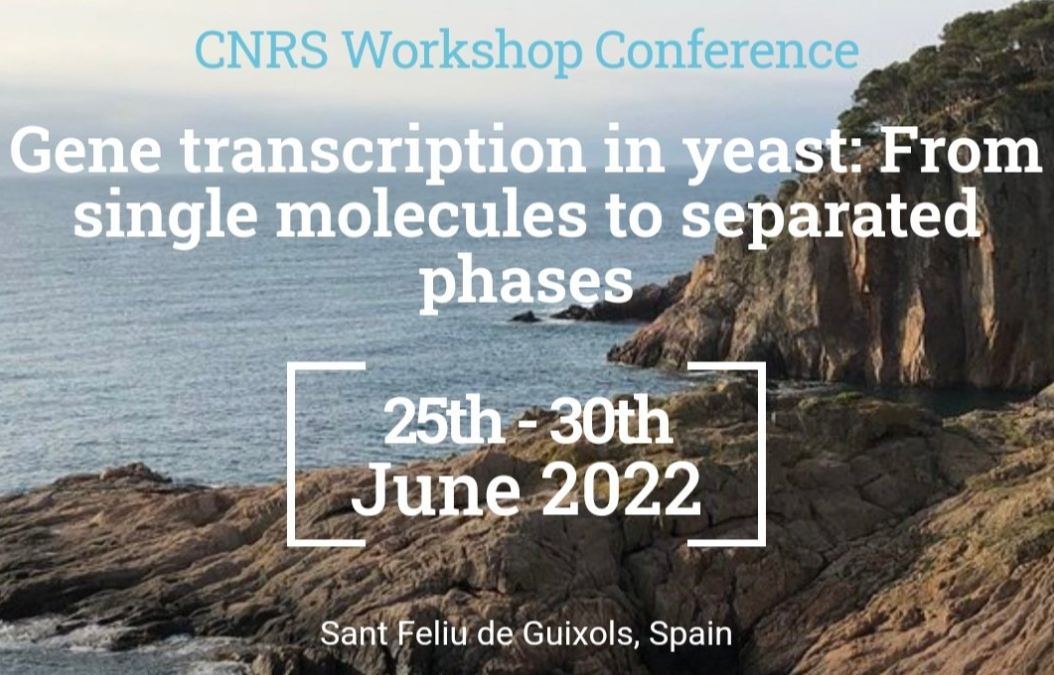 CNRS Workshop Conference “Gene transcription in yeast: From single molecules to separated phases” – 25-30/06/2022