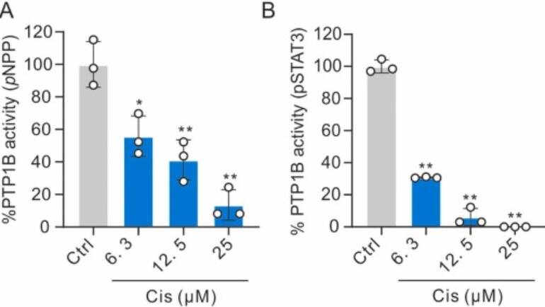 ProtéoSeine – Cisplatin causes covalent inhibition of protein-tyrosine phosphatase 1B (PTP1B) through reaction with its active site cysteine: Molecular, cellular and in vivo mice studies