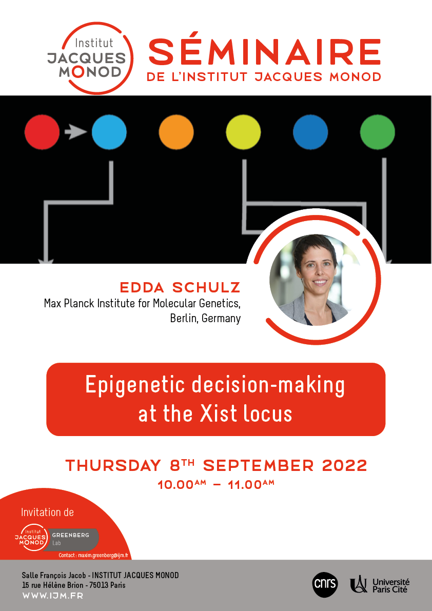 IJM Seminar – Edda Schulz – 08/09/2022