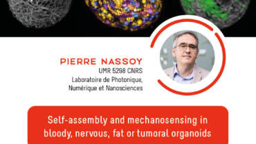 IJM Seminar – Pierre Nassoy – 07/10/2022
