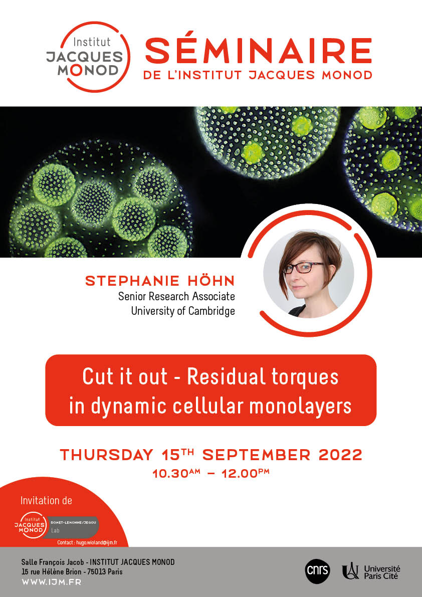 IJM Seminar – Stephanie Höhn – 15/09/2022