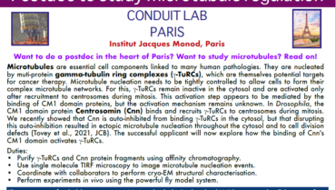 Postdoc position – Conduit Lab