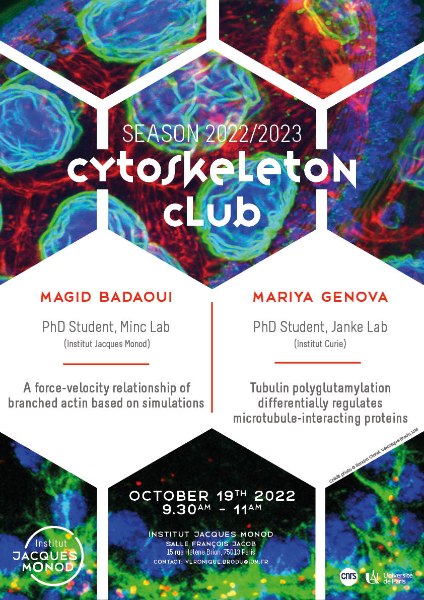 Cytoskeleton Club – 19/10/2022