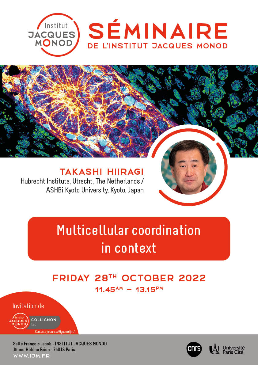 IJM Seminar – Takashi Hiiragi – 28/10/2022