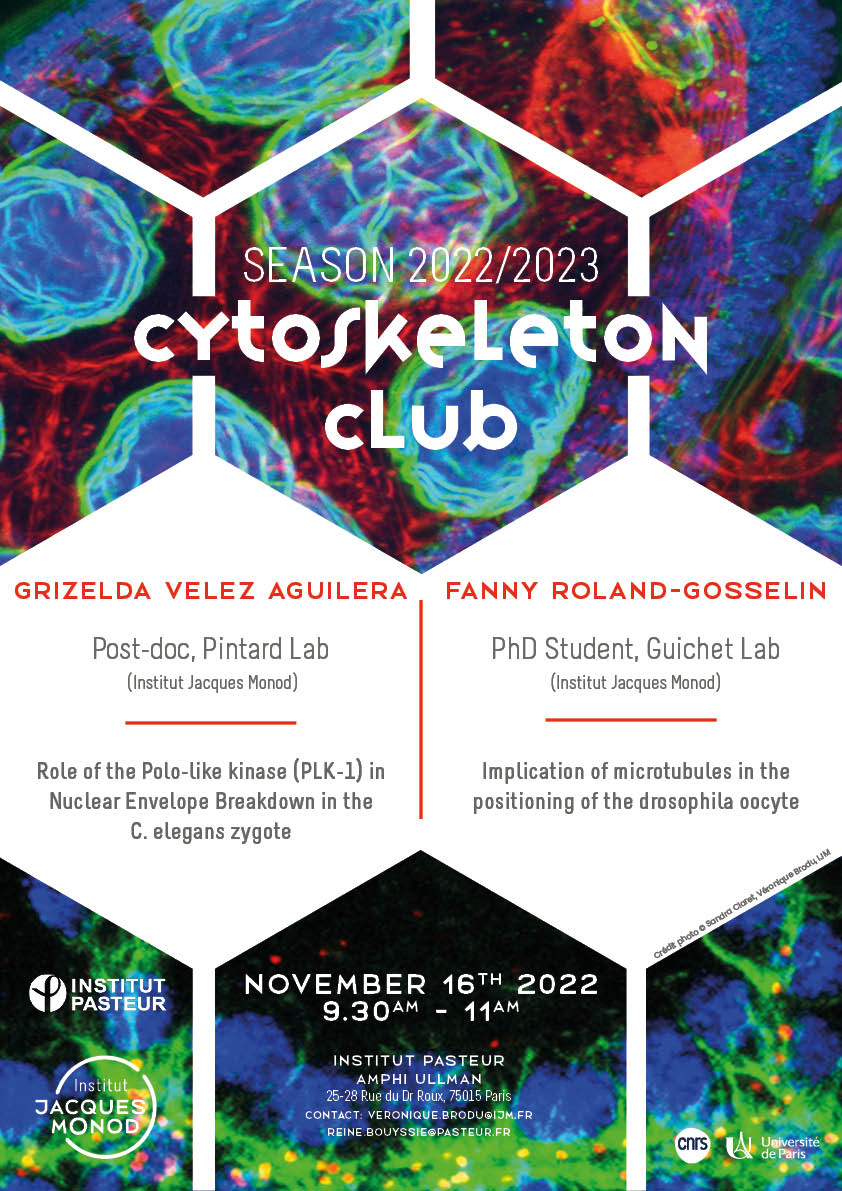 Cytoskeleton Club – 16/11/2022