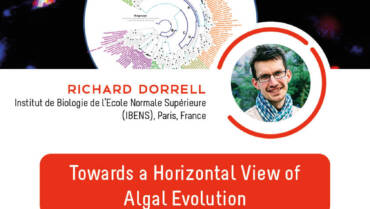 IJM Seminar – Richard Dorrell – 25/11/2022