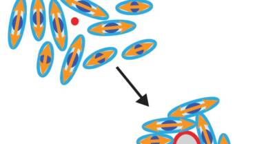 Ladoux/Mège Lab : Mechanical stress driven by rigidity sensing governs epithelial stability