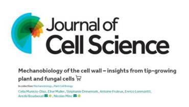 Minc Lab – Review: Mechanobiology of the cell wall – insights from tip-growing plant and fungal cells