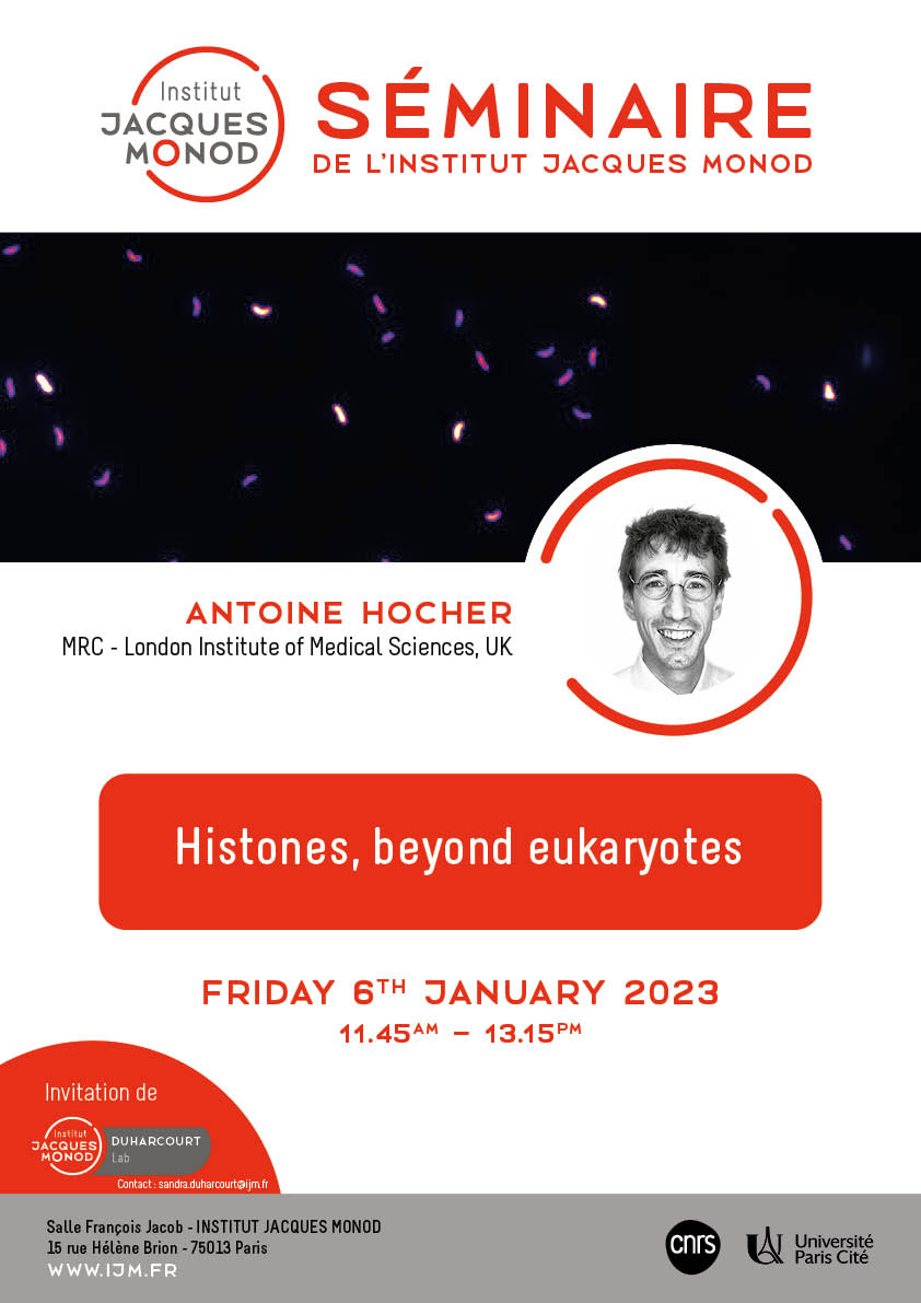 IJM Seminar – Antoine Hocher – 06/01/2023