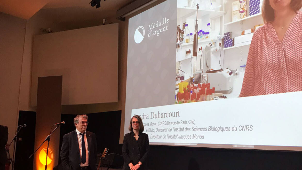 Sandra Duharcourt reçoit la médaille d’argent du CNRS