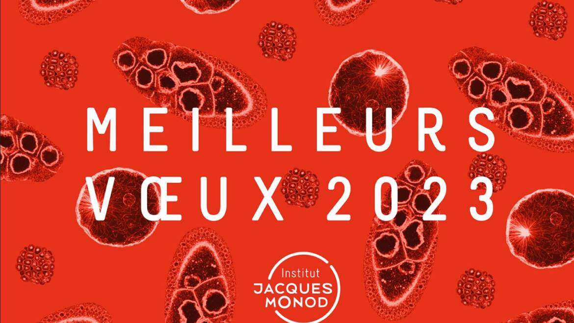 L’Institut Jacques Monod vous souhaite une bonne année 2023 !