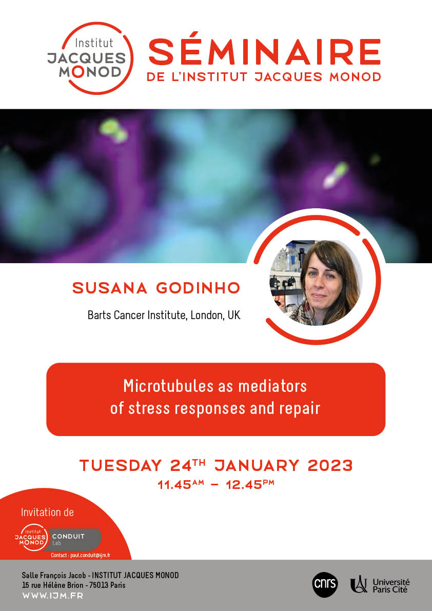 IJM Seminar – Susana Godinho – 24/01/2023