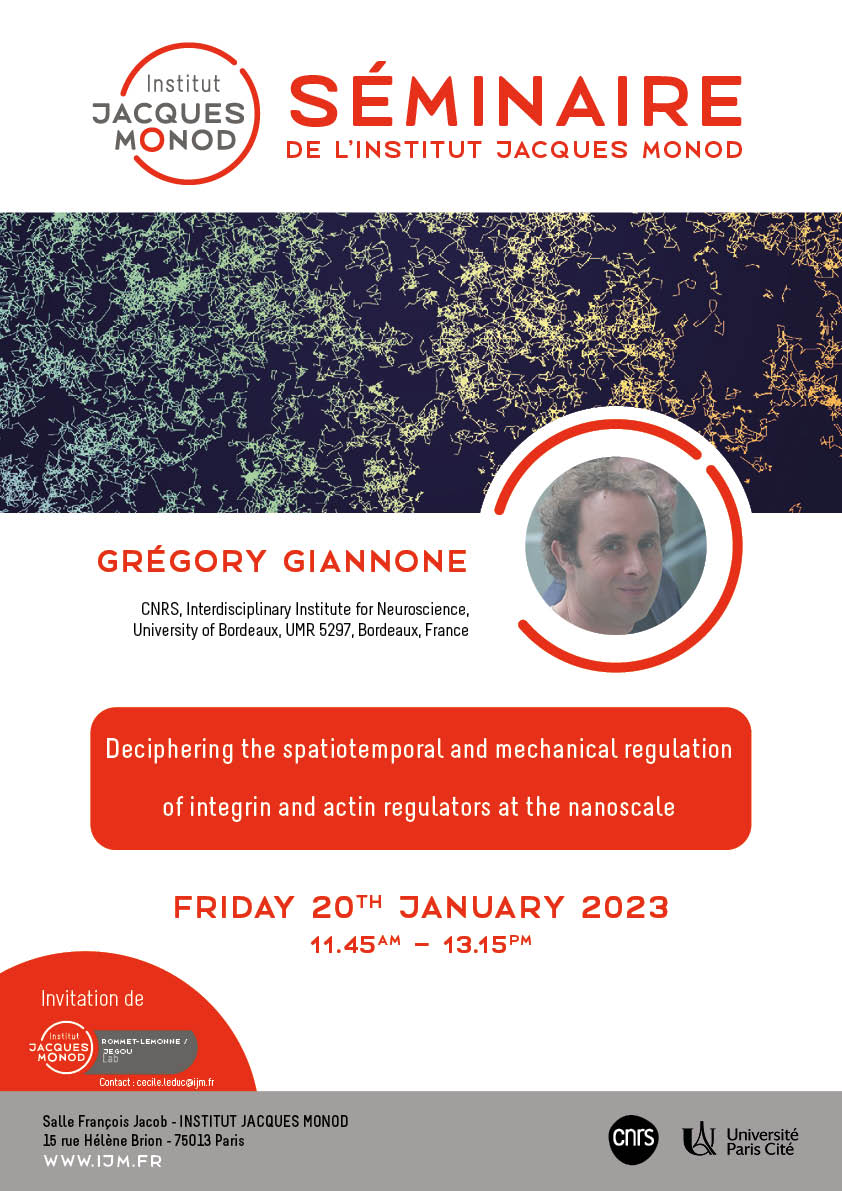 IJM Seminar – Grégory Giannone – Postponed to 31/03/2023