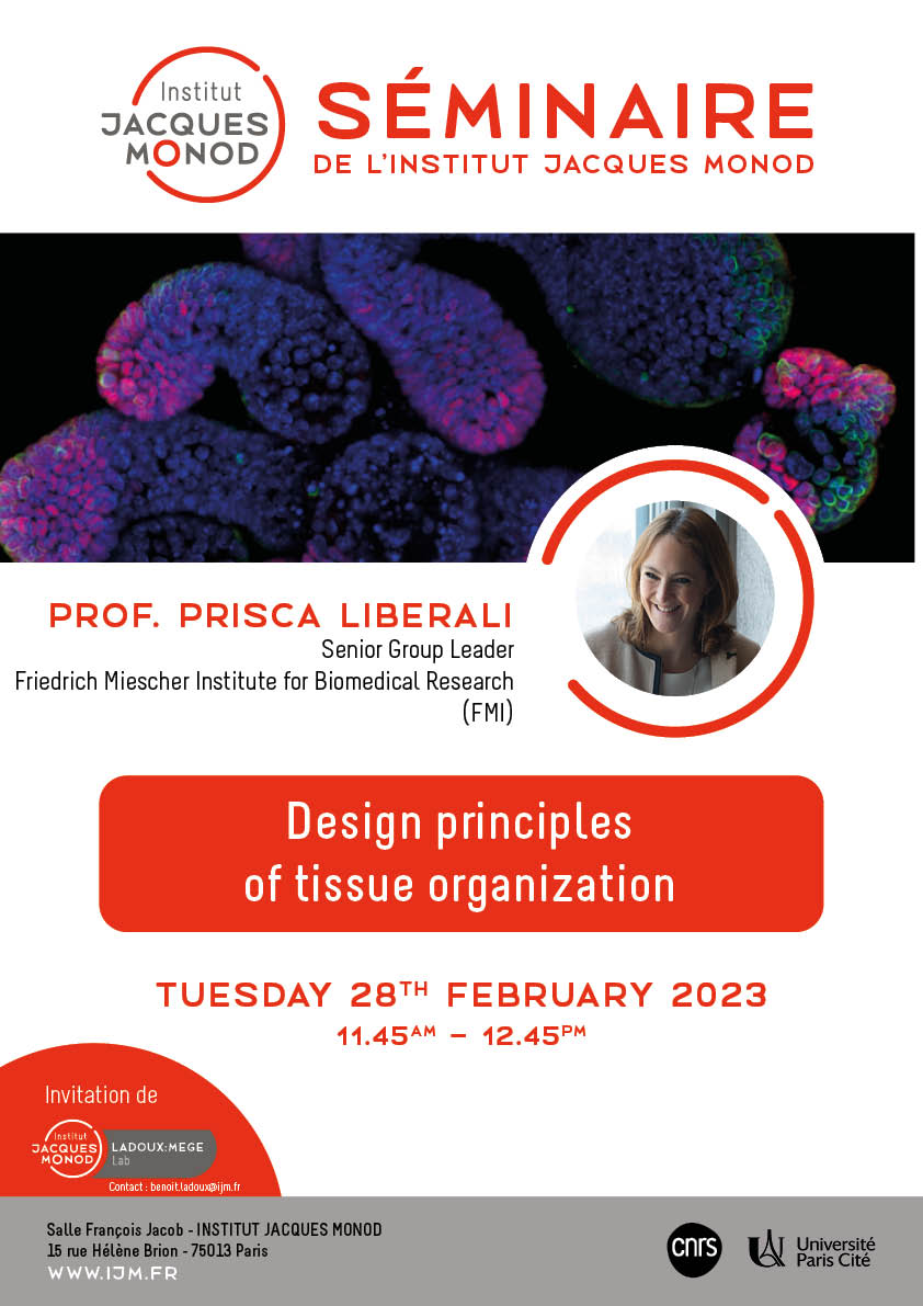 IJM Seminar – Prisca Liberali – 28/02/2023