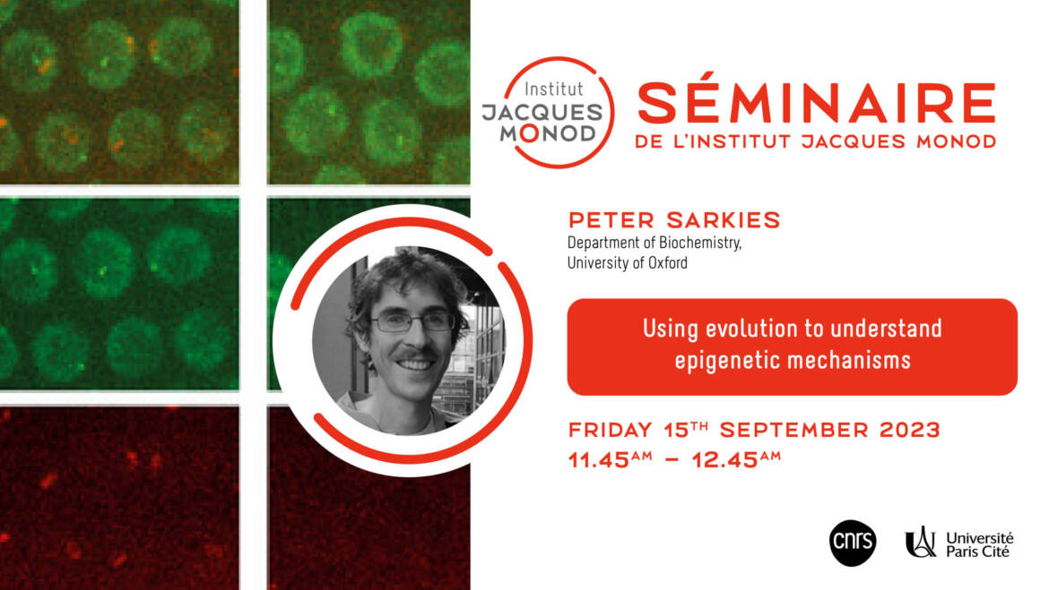 IJM Seminar – Peter Sarkies – 15/09/2023