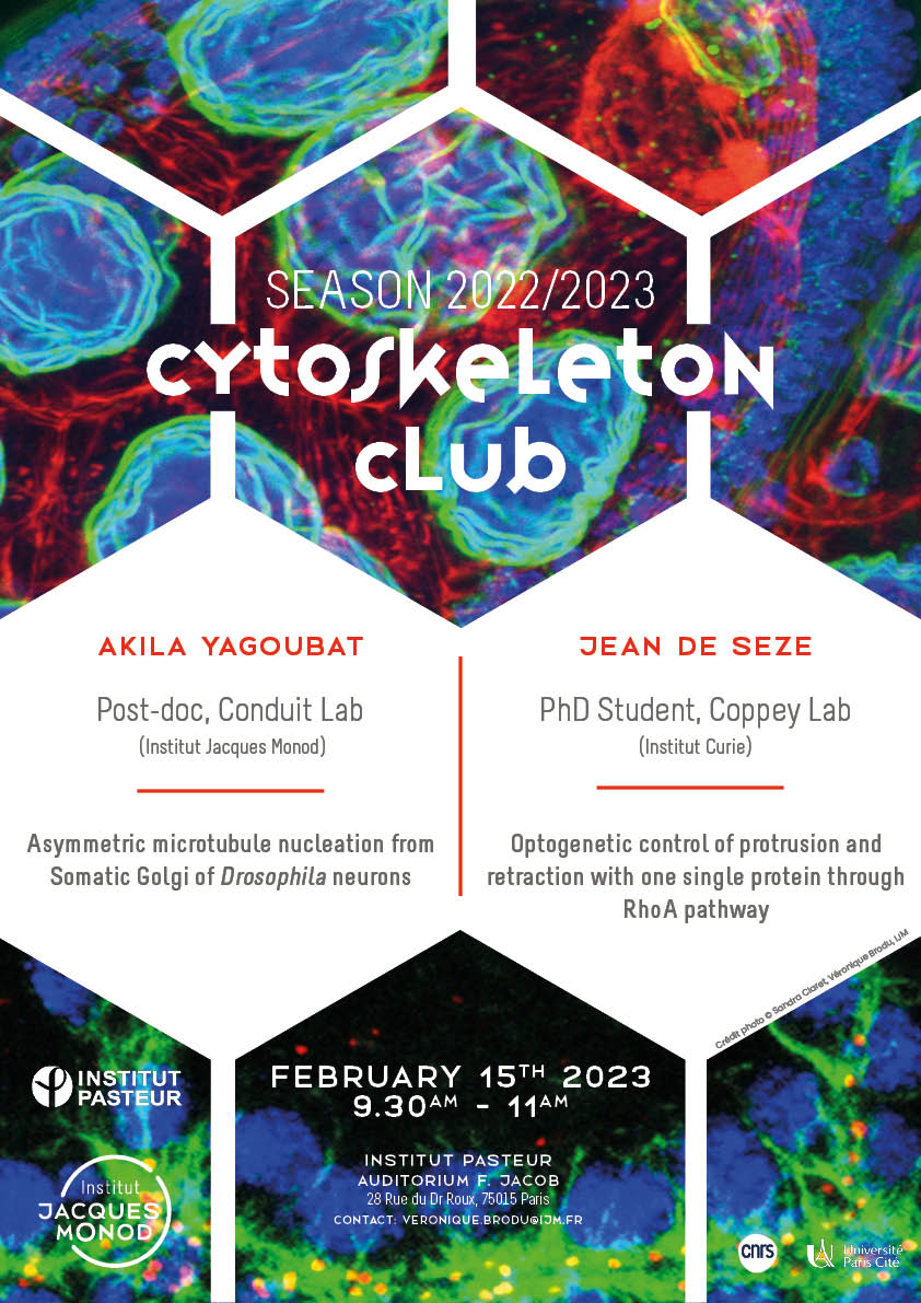Cytoskeleton Club – 15/02/2023