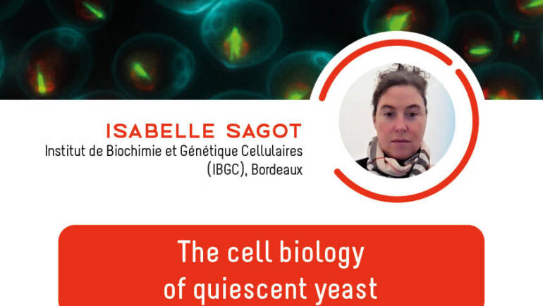 [Annulé et sera reporté à une nouvelle date] Séminaire IJM – Isabelle Sagot – 24/03/2023
