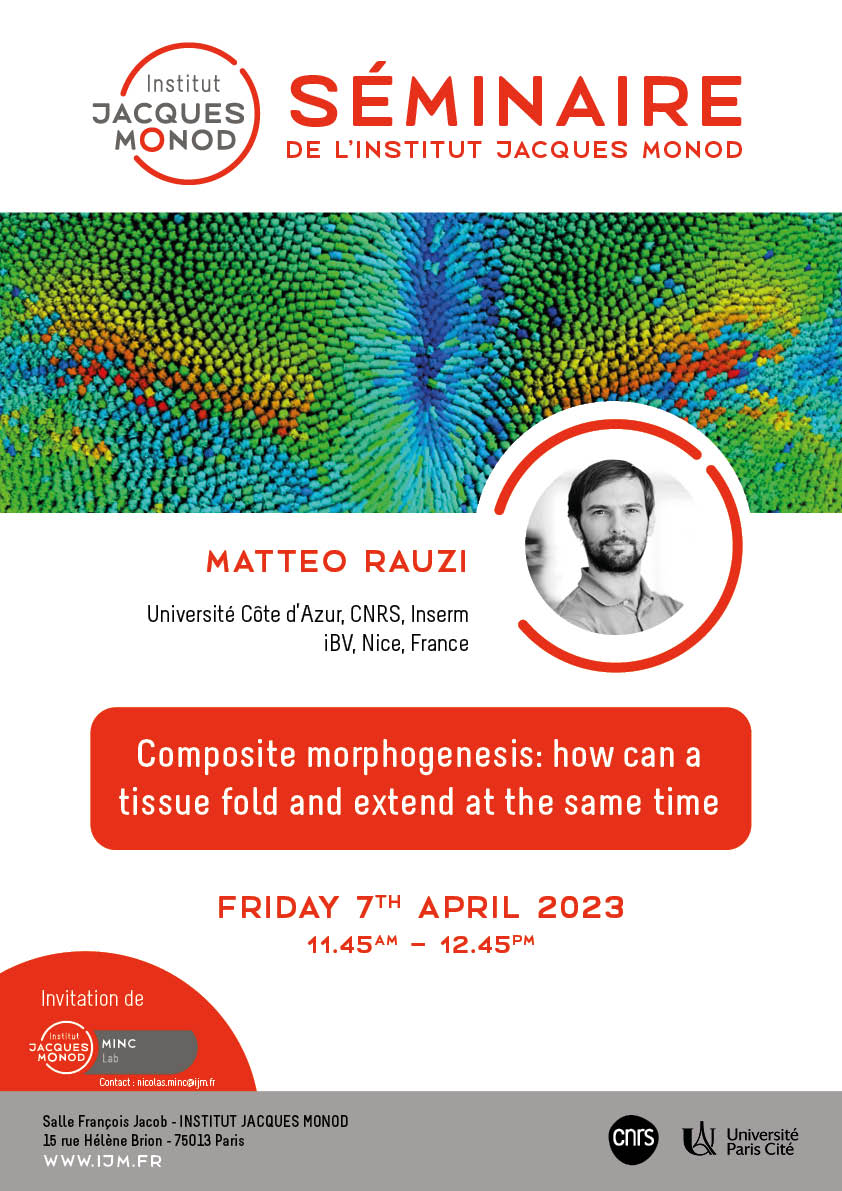 IJM Seminar – Matteo Rauzi – 07/04/2023