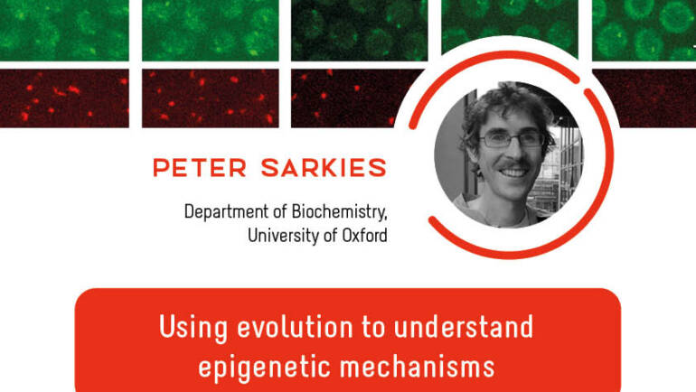IJM Seminar – Peter Sarkies – 15/09/2023