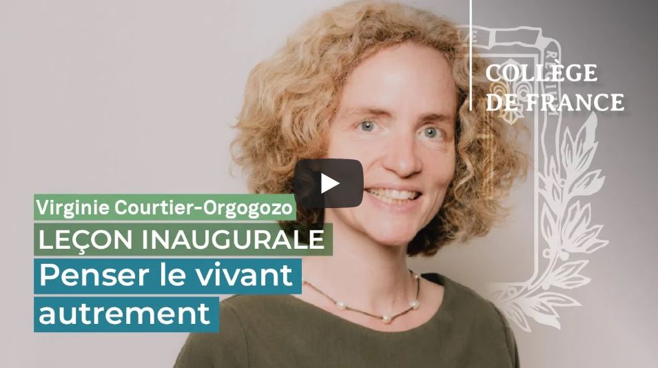 Watch the video of Virginie Courtier’s inaugural lesson