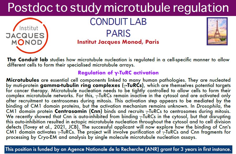 Postdoc to study microtubule regulation (Conduit Lab)