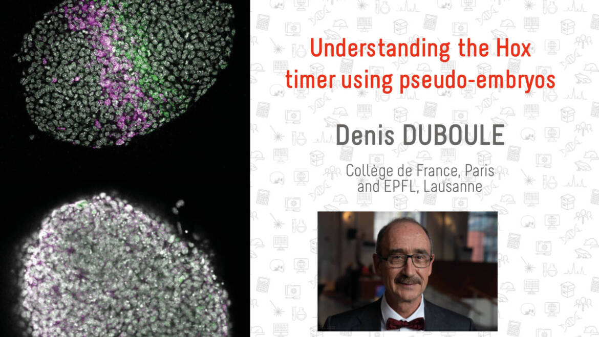 Conférence Monod-Diderot – Denis Duboule – 9/06/2023