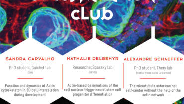 Cytoskeleton Club – 19/04/2023