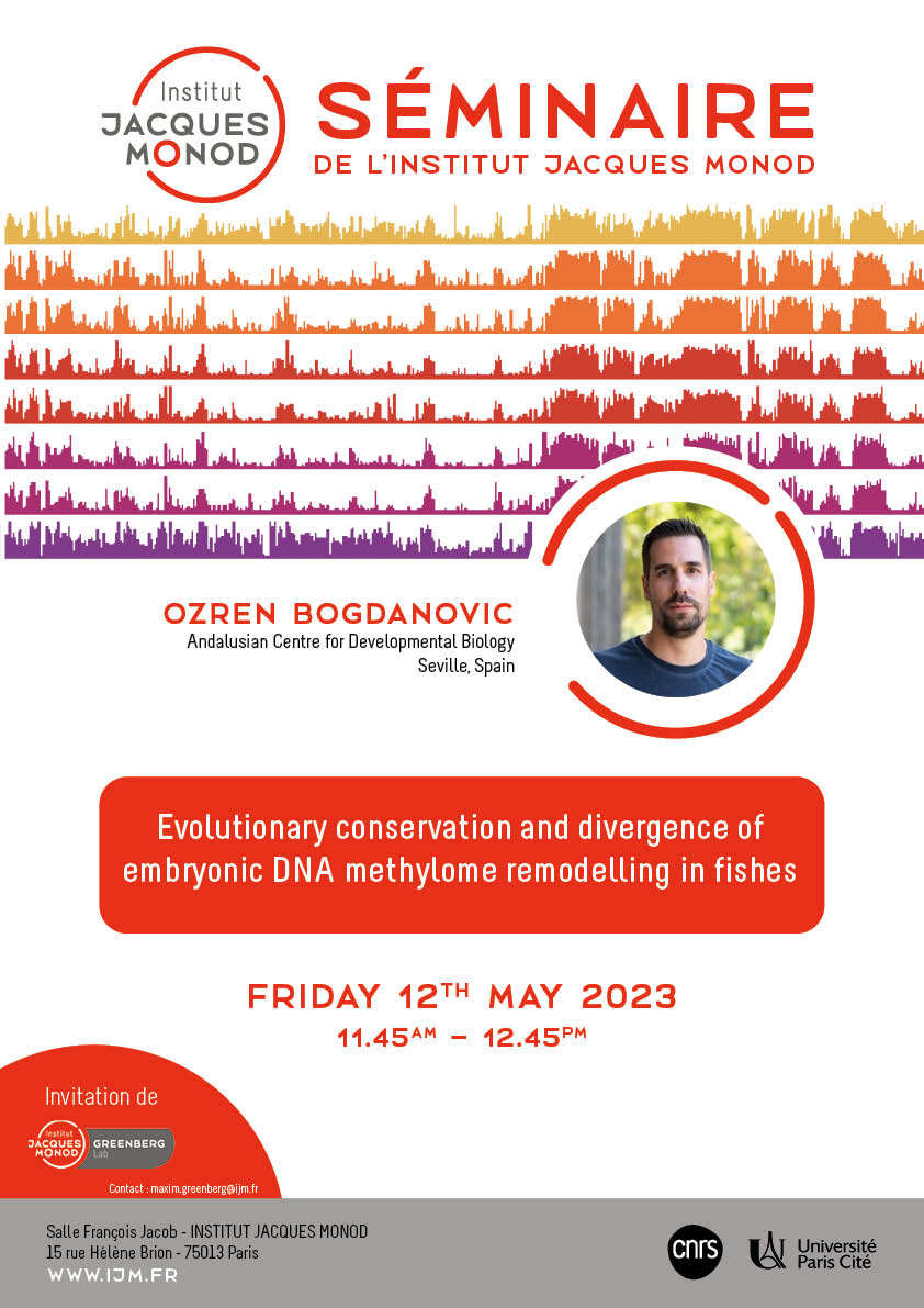 IJM Seminar – Ozren Bogdanovic – 12/05/2023