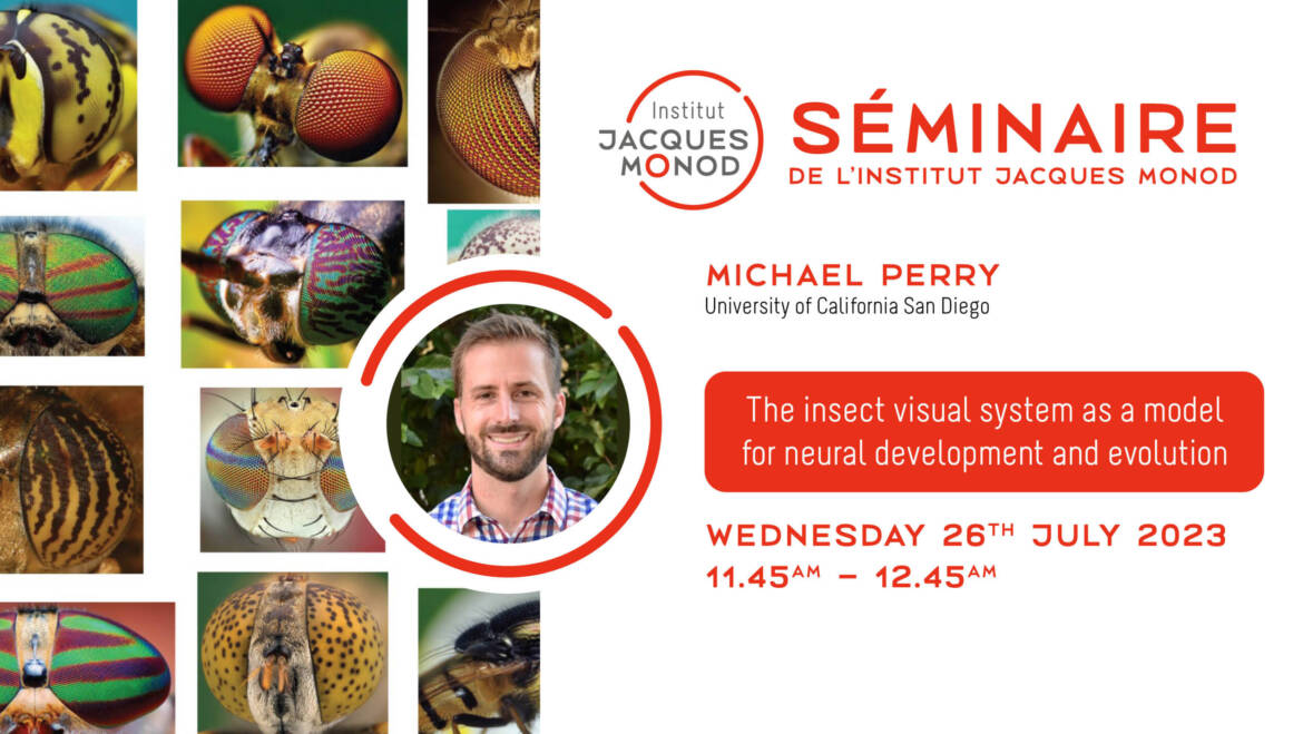 IJM Seminar – Michael Perry – 26/07/2023