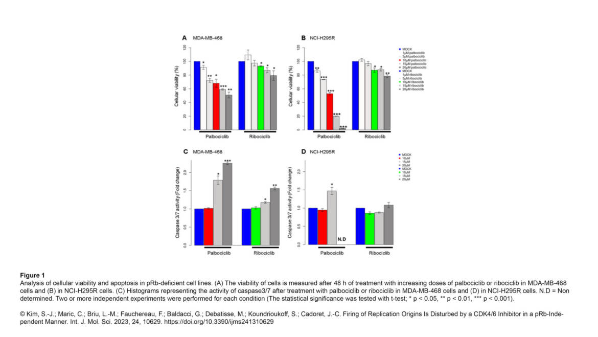 Cadoret Lab – Firing of Replication Origins Is Disturbed by a CDK4/6 Inhibitor in a pRb-Independent Manner