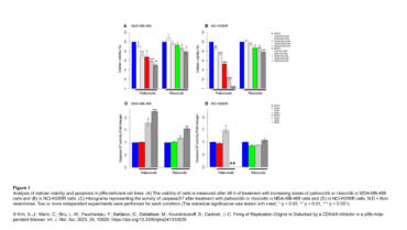 Cadoret Lab – Firing of Replication Origins Is Disturbed by a CDK4/6 Inhibitor in a pRb-Independent Manner