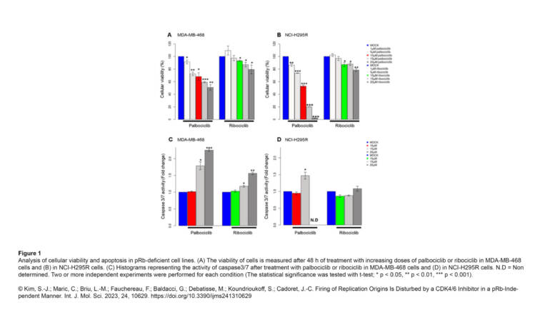 Cadoret Lab – Firing of Replication Origins Is Disturbed by a CDK4/6 Inhibitor in a pRb-Independent Manner