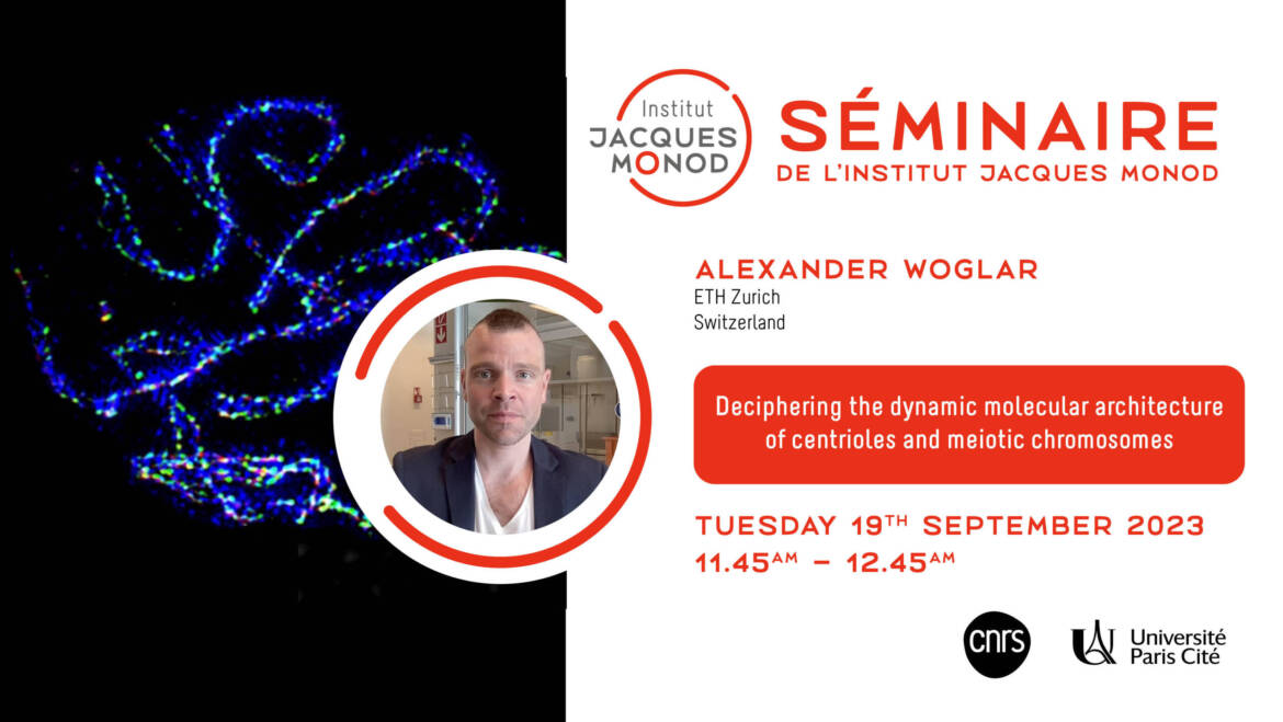 IJM Seminar – Alexander Woglar – 19/09/2023