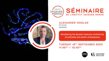 IJM Seminar – Alexander Woglar – 19/09/2023