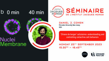 IJM Seminar – Daniel J. Cohen – 25/09/2023